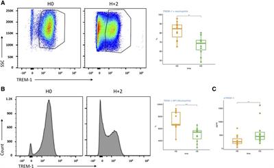 Soluble TREM-1 plasma levels are associated with acute kidney injury, acute atrial fibrillation and prolonged ICU stay after cardiac surgery- a proof-concept study